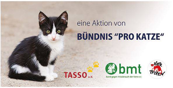 1011709_667836506575792_1643627563_n