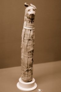 katzenmumie_wikipedia-jpg-2208493
